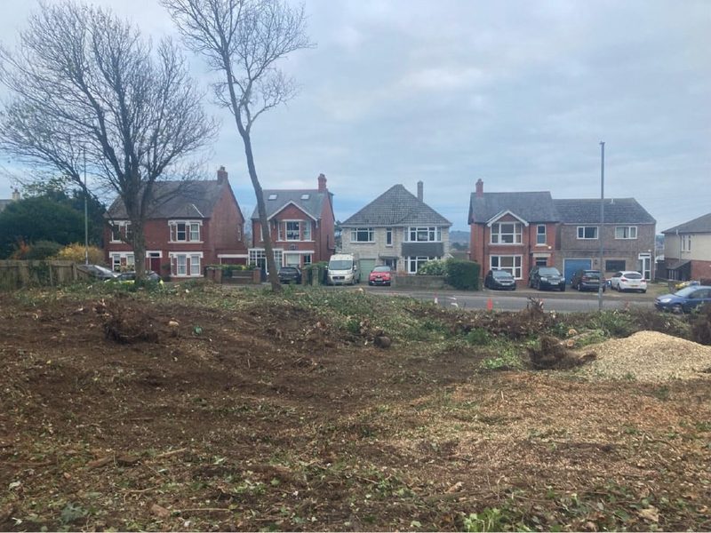 Cleared ground in front of houses after trees and stumps were removed