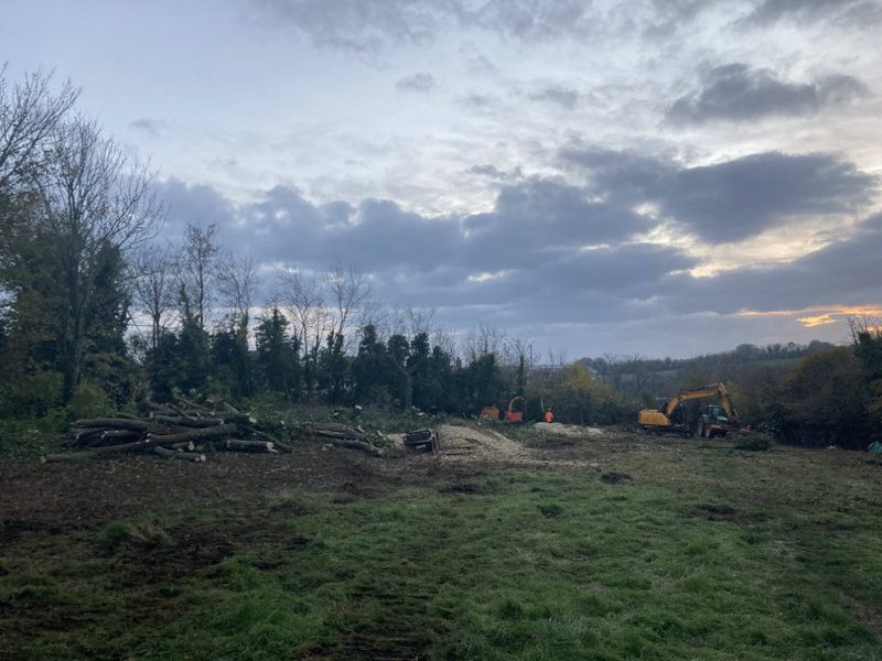 Cleared development site at dusk with felled timber stacked and an excavator working